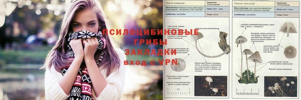 бутират Дмитриев