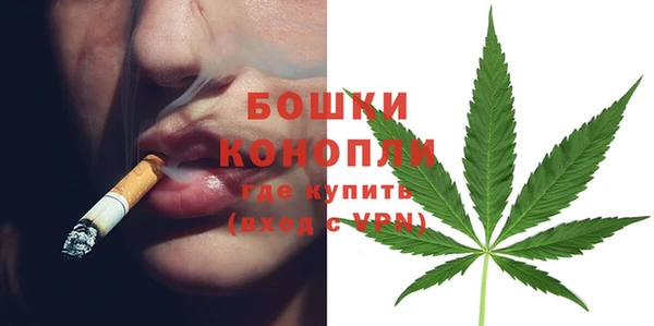 прущие грибы Яранск