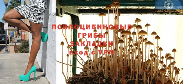 ешки Дмитров