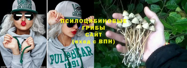 Альфа ПВП Дмитровск