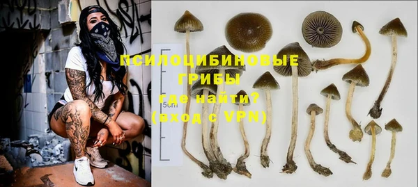 Альфа ПВП Дмитровск