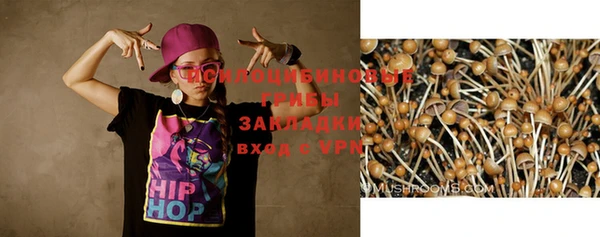 бутират Дмитриев