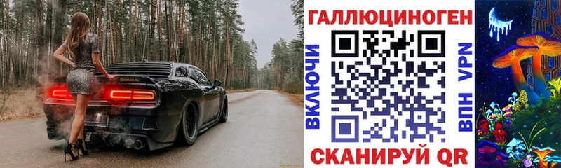 OMG ССЫЛКА  Черепаново  Псилоцибиновые грибы Psilocybe 